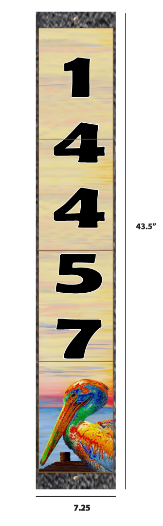 Borderless Address -Pelican Pier