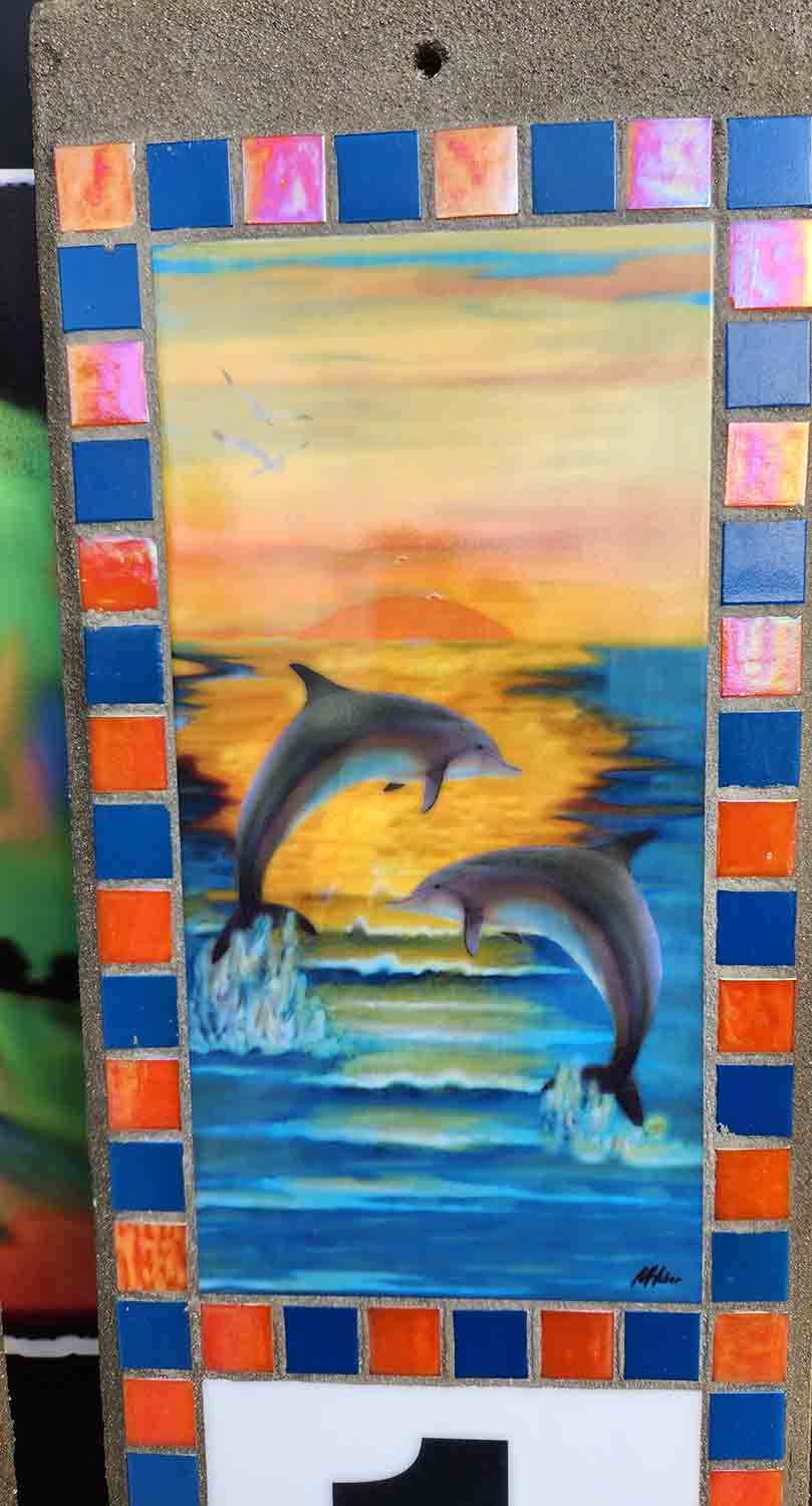 Dueling Dolphins - website - Carabean and ONO new.jpg__PID:d25fa37f-793b-4695-a709-e673ff524b17