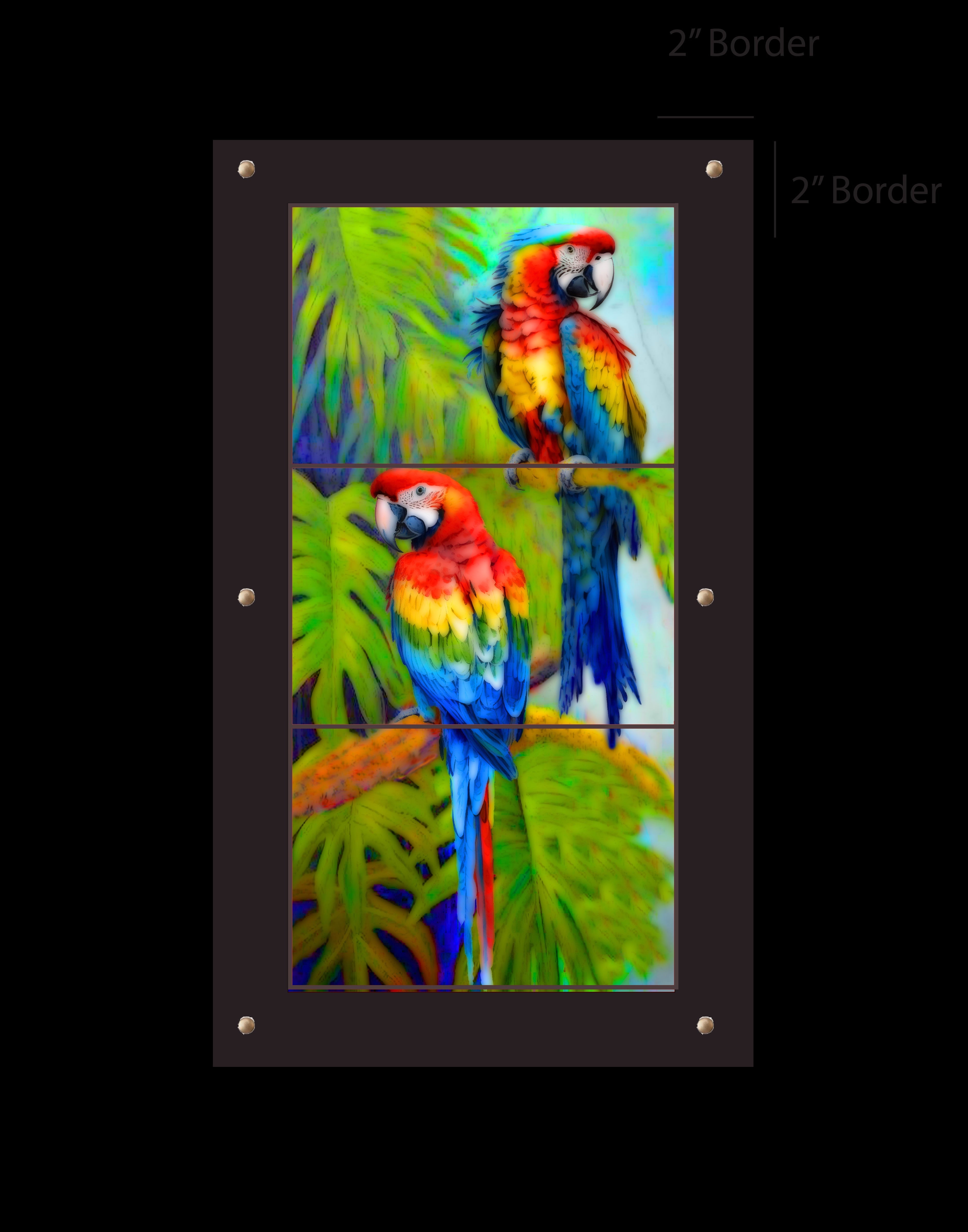 Mccaw Parrots outdoor art — 1x3 multi-panel, walnut brown polymer cement frame