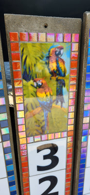 McCaw Parrots - opening night orange.jpg__PID:9ee6529e-61f9-4ee6-9a42-17547d129a77