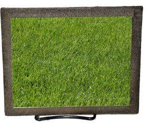 Indoor Pet Memorial - Green Grass