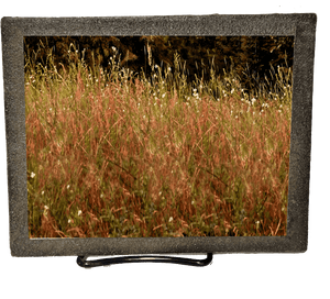 Indoor Pet Memorial - Grassy Pasture - The Glass Tattoo Sign Company