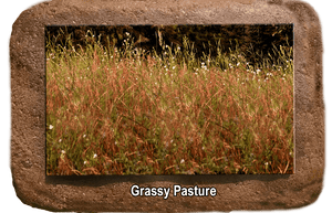 Pet Memorial - Grassy Pasture - The Glass Tattoo Sign Company