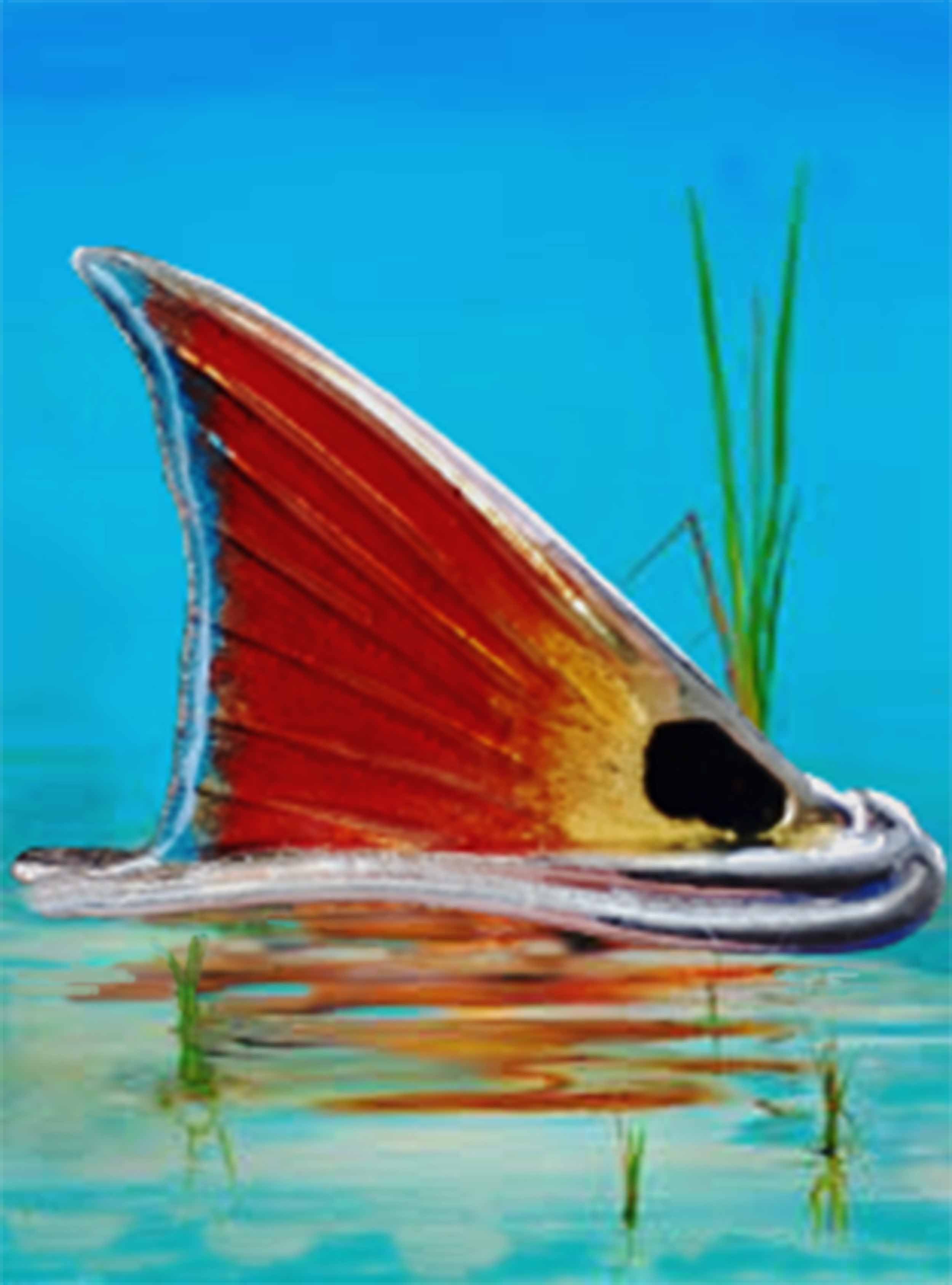 Redfish Jewel with Bel Air Blue & Opening Night Orange Border Colors
