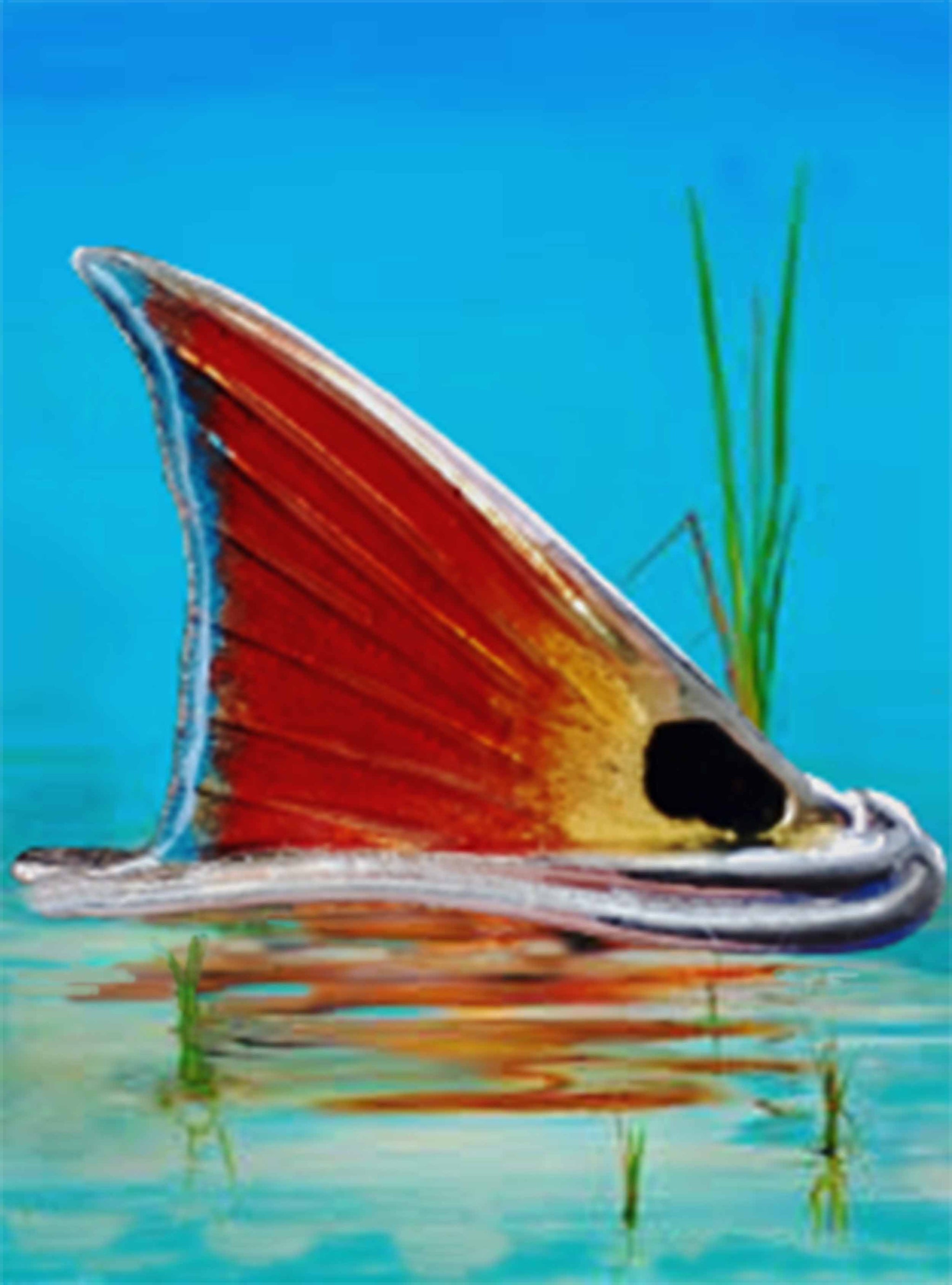 Redfish Jewel with Bel Air Blue & Opening Night Orange Border Colors