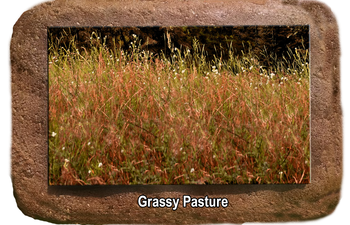 Pet Memorial - Grassy Pasture - The Glass Tattoo Sign Company