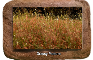 Pet Memorial - Grassy Pasture - The Glass Tattoo Sign Company