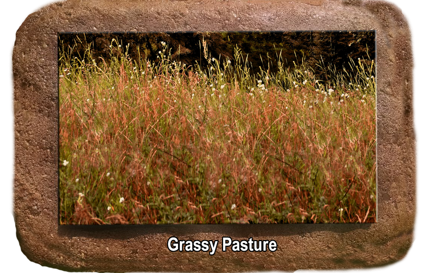 Pet Memorial - Grassy Pasture - The Glass Tattoo Sign Company